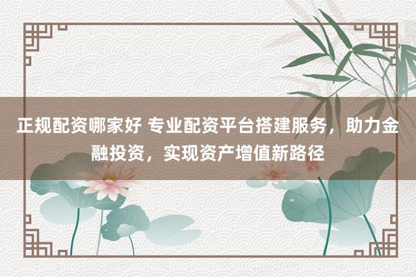 正规配资哪家好 专业配资平台搭建服务，助力金融投资，实现资产增值新路径