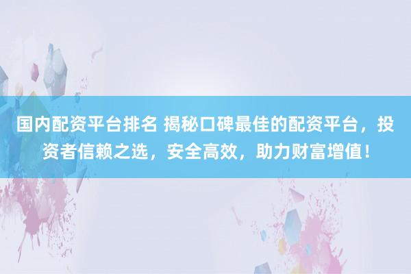 国内配资平台排名 揭秘口碑最佳的配资平台，投资者信赖之选，安全高效，助力财富增值！